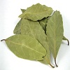 bay-leaf