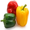 capsicum-chilli