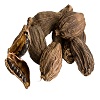 cardamom-large