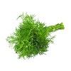 dill