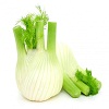 fennel