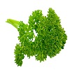 parsley