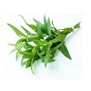 tarragon