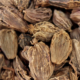 big-cardamom