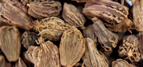 big-cardamom