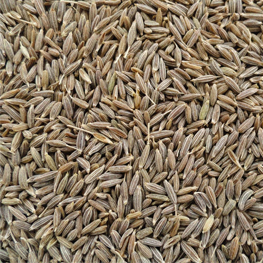 cumin-seed