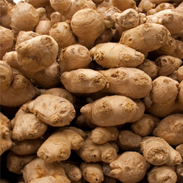 dried-ginger