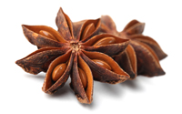 star-anise